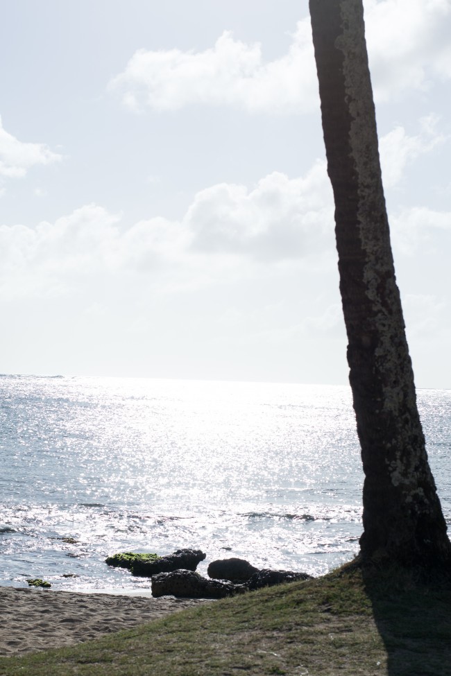 Oahu North Shore