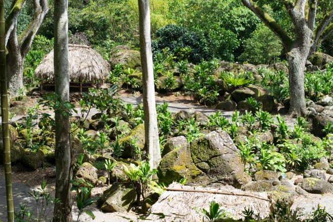 Waimea Falls Hawaiian Village